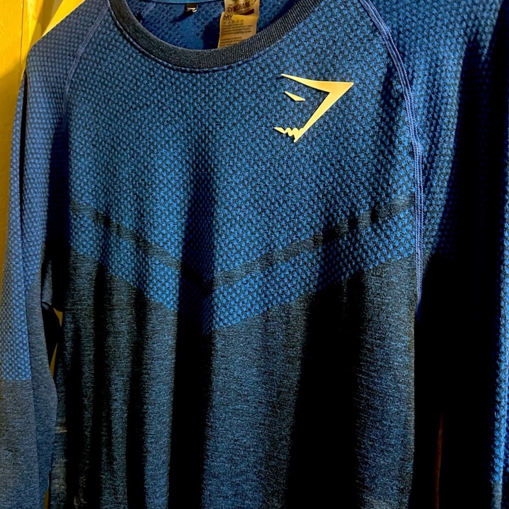 Gymshark Blue seamless long sleeve